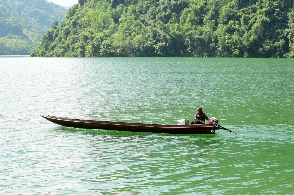 dự đoán đề thi 